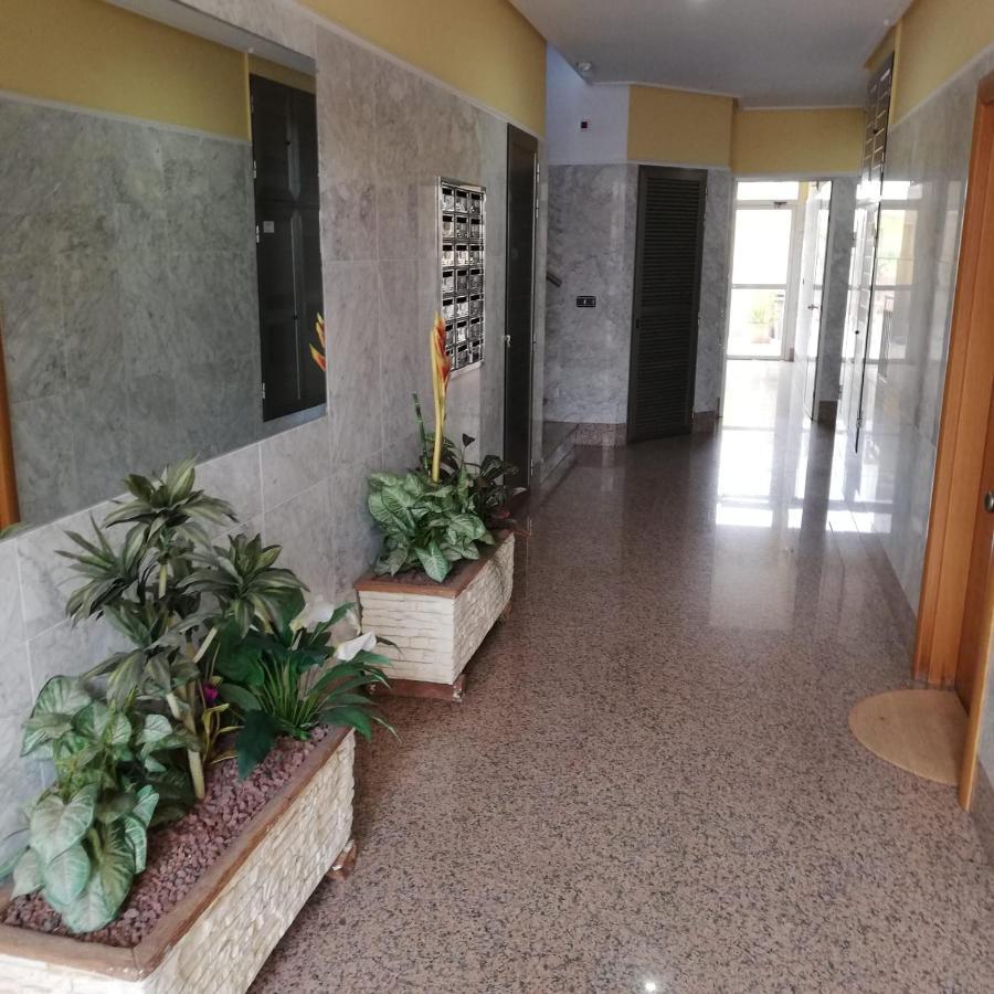 Apartamento A 50 Metros De La Playa Muchavista El Campello Εξωτερικό φωτογραφία